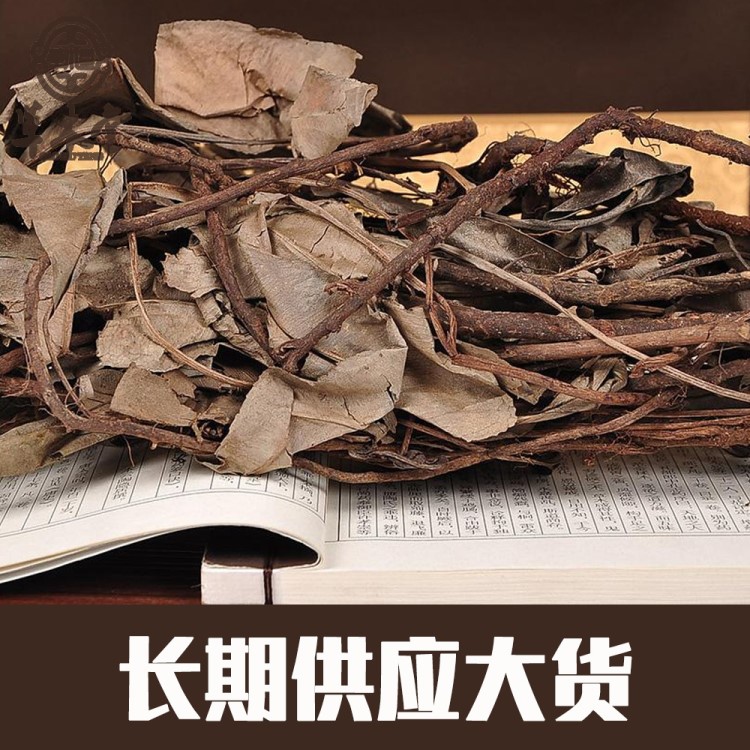 卡琪花蒂瑪 野生卡琪花蒂瑪連根完整株卡琪花批發(fā) 卡其花