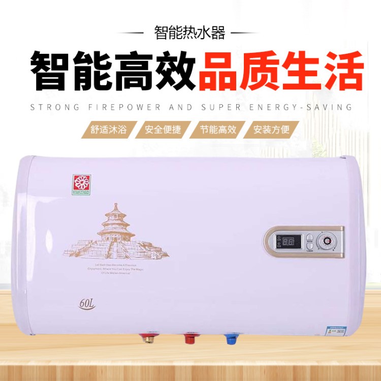 廠家批發(fā) 電熱水器家用 速熱熱水器儲水式 數(shù)顯快熱式熱水器