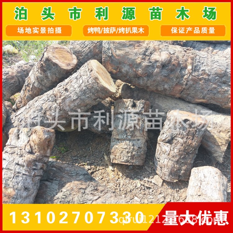 供應棗木 棗木原木 雕刻棗木 棗木墩用料 棗木家具用料 常年有貨