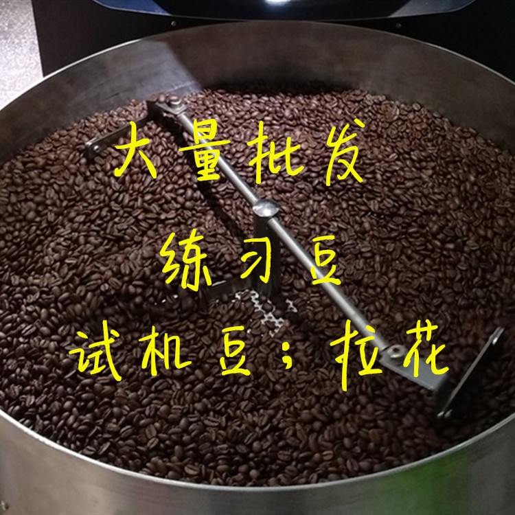 廠家直供拉花豆咖啡練習(xí)豆試機除味豆意式咖啡豆烘焙熟豆測試商用