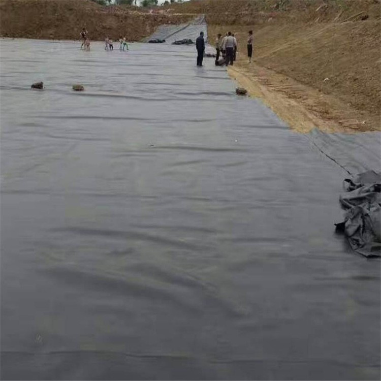 土工膜屋頂花園防滲與抗植物根系穿刺破壞 土工膜魚池養(yǎng)殖薄膜4米