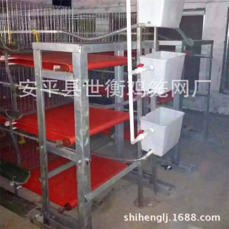 生產供應肉雞籠 立體式肉雞籠 肉雞籠價格 10組起批 小肉雜雞籠