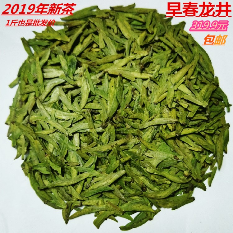 2019年新茶 绿茶 龙井 特级乌牛早豆香500克散装批发广西三江茶叶