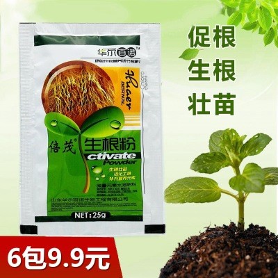 移栽生根粉多肉生根植物強(qiáng)力樹(shù)木生根花草育苗扦插用其它否