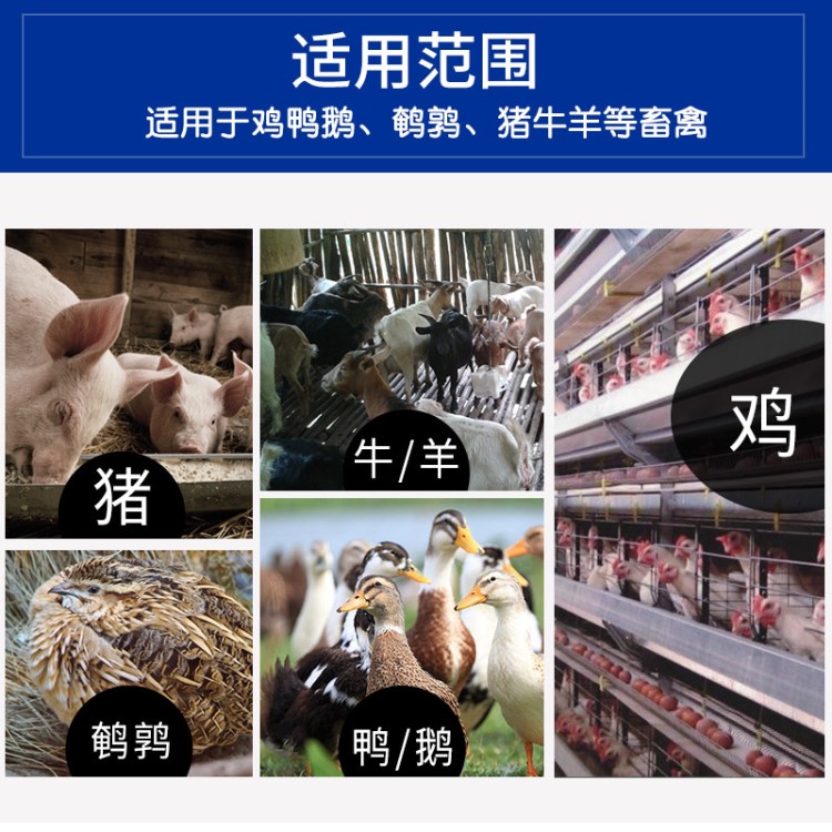 貝殼粉預(yù)混 添加劑用獸用家禽飼料料蛋雞防礦物質(zhì)鸚鵡河南新鄉(xiāng)補(bǔ)