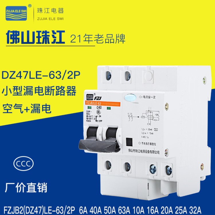 批發(fā)珠江DZ47LE-63/2P家用雙極保護(hù)開關(guān) 32A二極小型漏電斷路器