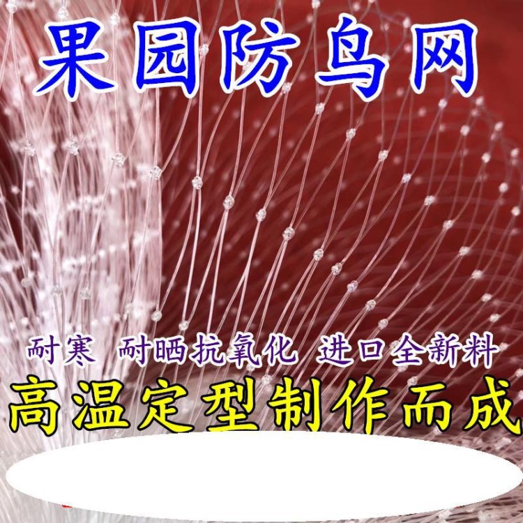 粘加厚的網(wǎng)用的網(wǎng)棚畫眉鳥防鳥單層粘網(wǎng)粘山雞網(wǎng)鳥粘網(wǎng)網(wǎng)絲黑色