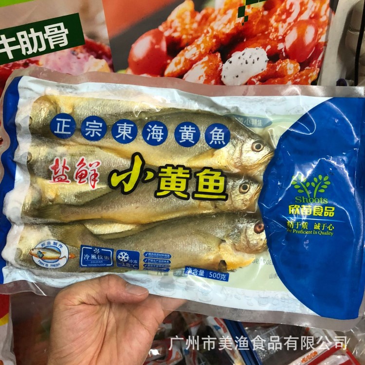 鹽鮮黃花魚 東海小黃魚 香煎黃魚 小吃餐廳酒樓 500克 約6條