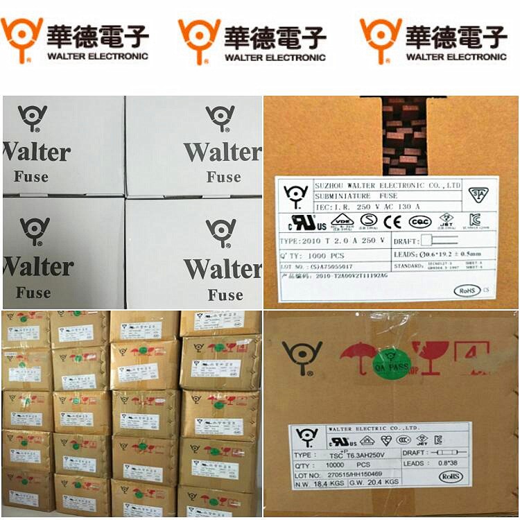 现货库存walter华德FAP315mA250V玻璃保险管慢断3.6x10