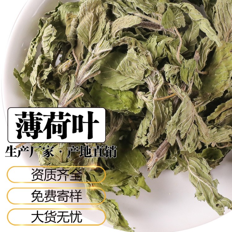 薄荷葉 產(chǎn)地直銷 18年新貨 500克制作食用花草茶廠家批發(fā)零售