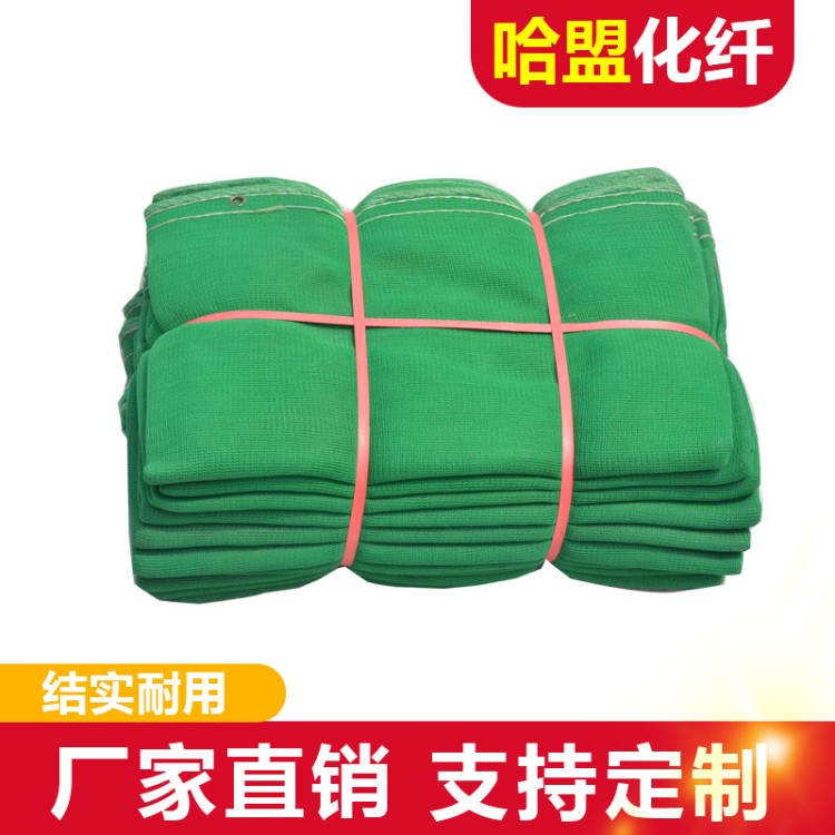綠色網(wǎng) 建筑網(wǎng)阻燃網(wǎng)工地防護(hù)網(wǎng) 定制2000目密目網(wǎng)