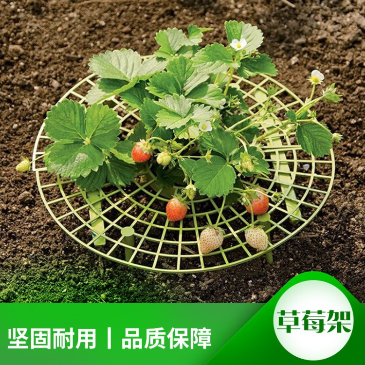 草莓架 陽(yáng)臺(tái)種菜架 果實(shí)支撐 植物爬藤支柱 花支柱園藝支架承重