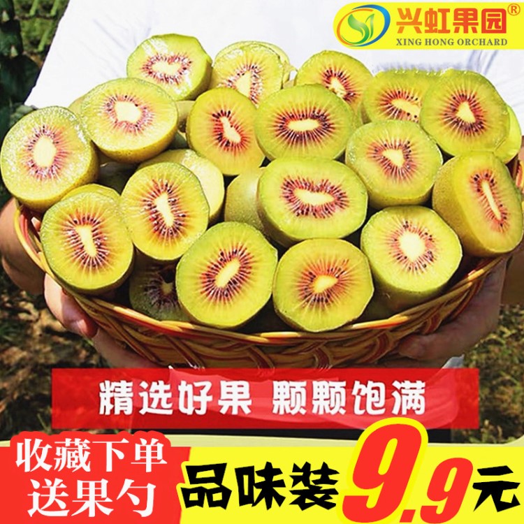 現(xiàn)貨9.9 四川成都紅心獼猴桃新鮮水果批發(fā)包郵當(dāng)季奇異果彌猴桃