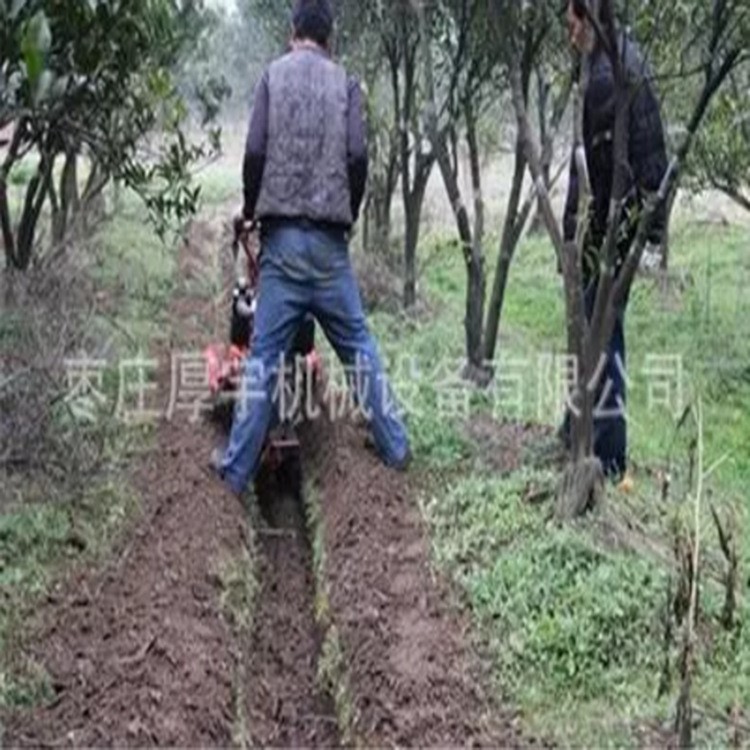 草莓種植開溝施肥機(jī) 牡丹江種草莓開溝機(jī) 大姜開溝培土機(jī)