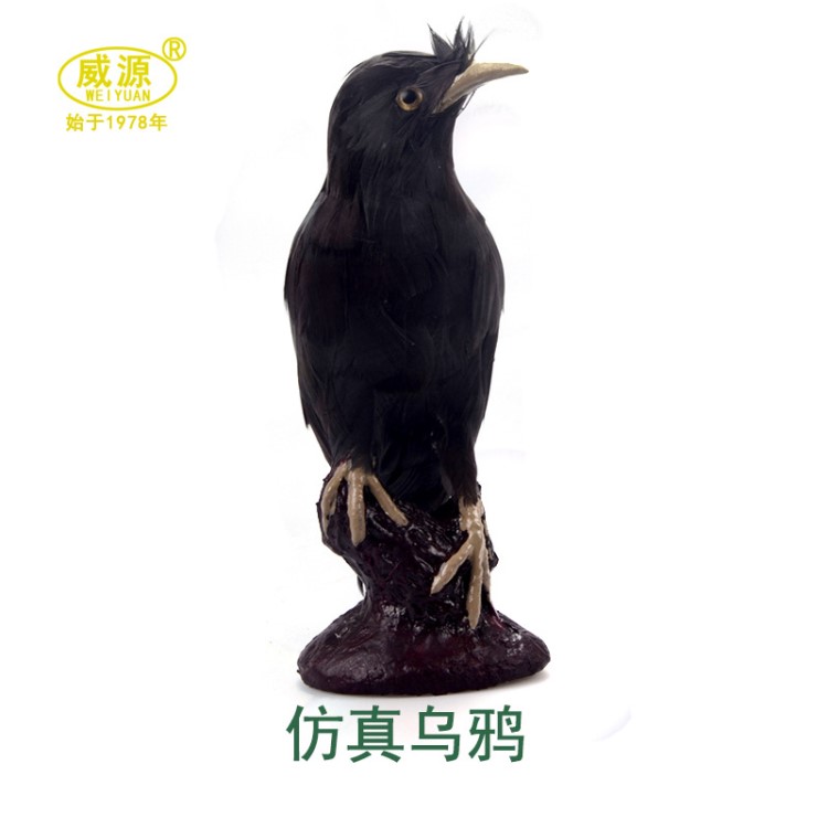 威源 手工藝品 仿真動(dòng)物 羽毛類動(dòng)物 仿真鳥 巴哥烏鴉 小黑鳥B049