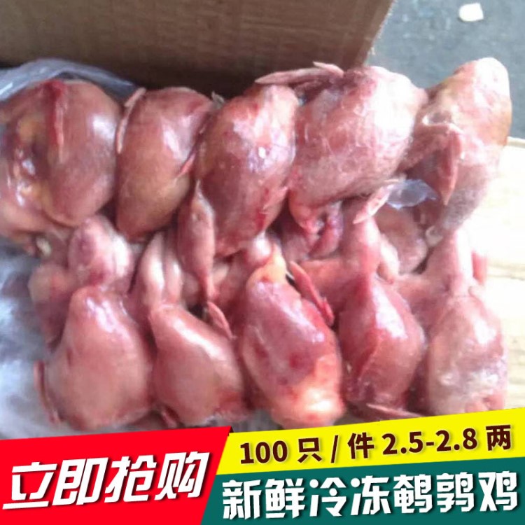 鵪鶉 白條鵪鶉 鵪鶉?guó)B 冷凍活殺鵪鶉肉鵪鶉仔 生肉制品1箱100只