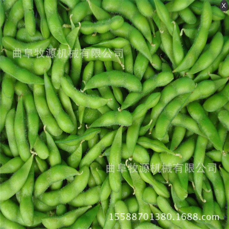 毛豆采摘機(jī)小型毛豆剝殼機(jī)毛豆收割機(jī)價(jià)格