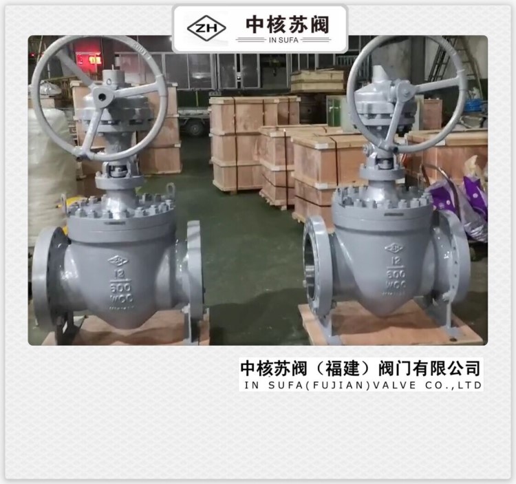 中核蘇閥 生產 軌道球閥  美標球閥軌道球閥