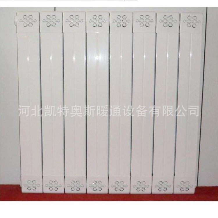 家用水暖壁掛式裝飾暖氣片 衛浴 鋼背簍 鋼制柱式散熱器