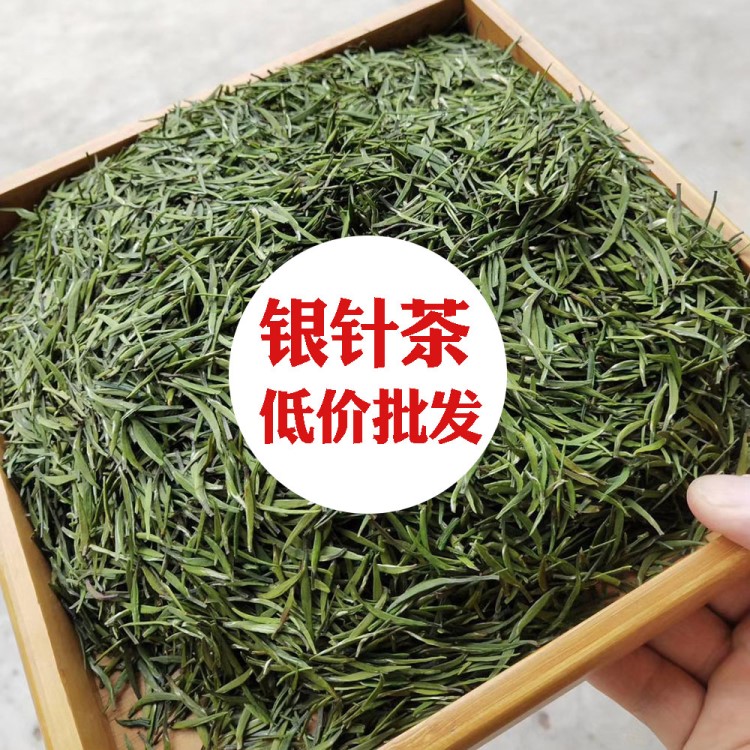 2019新茶千島君山銀針茶 明前頭采雀舌芽散茶批發(fā)綠茶 耐泡濃香型