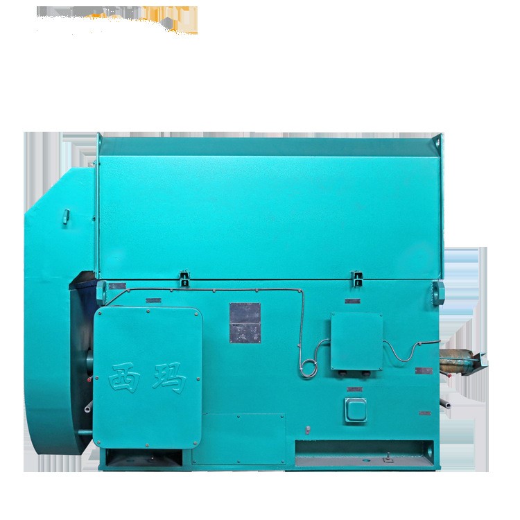 泰富西瑪電機YKK5001-4 630KW IP55 50HZ IMB3安裝 10KV高壓電機