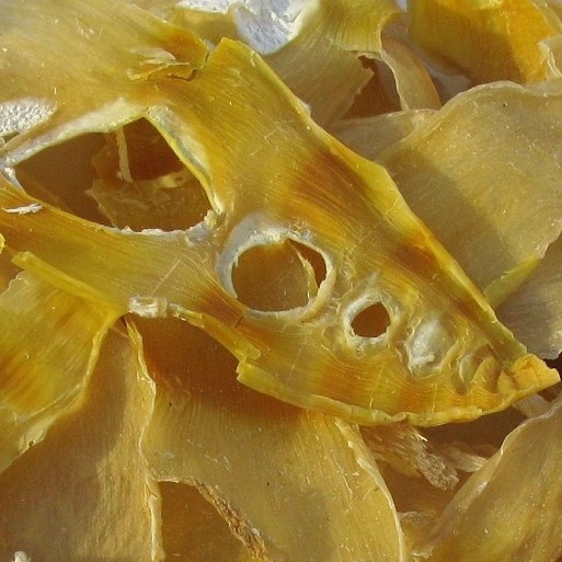 田源【產地直批】古田馬蹄 切片筍干 可混批  1kg