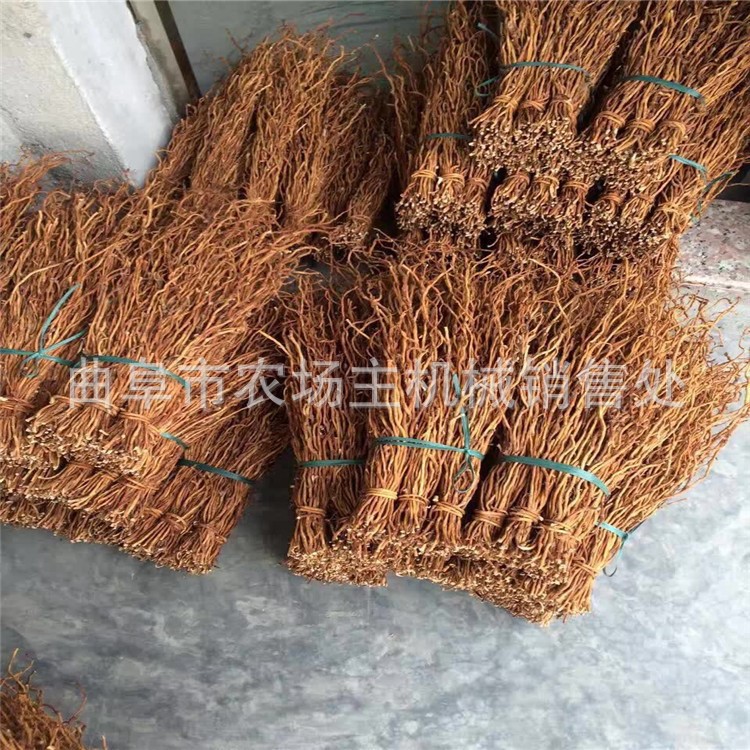 尺寸可定制太子參收獲機 深根莖白芷藥材附子深挖收獲機