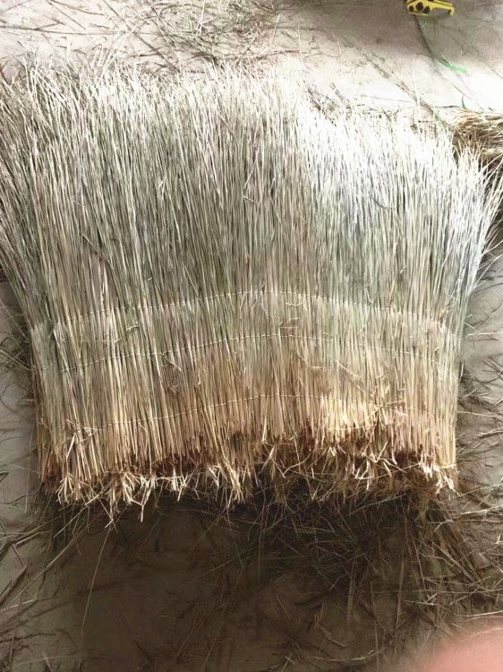 天然野生茅草凉亭装修散茅草农家乐屋顶茅草屋檐饭店装修茅草