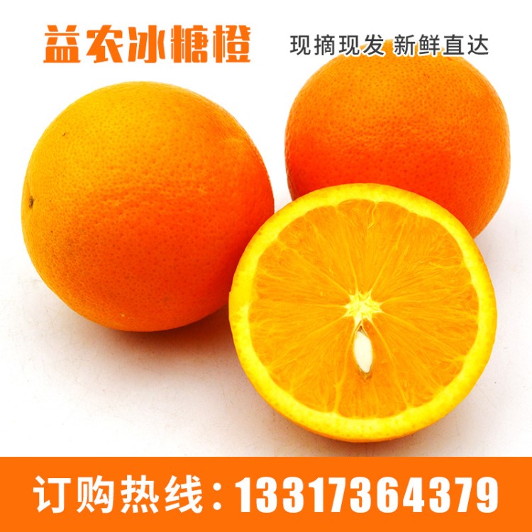 橙子批發 好吃的橙子批發錢一斤 基地橙子批發錢一斤
