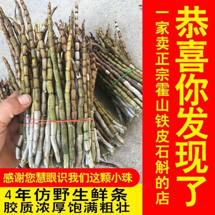 铁皮石斛霍山原种枫斗鲜条1斤 买3送1 新鲜500g4年仿野生石