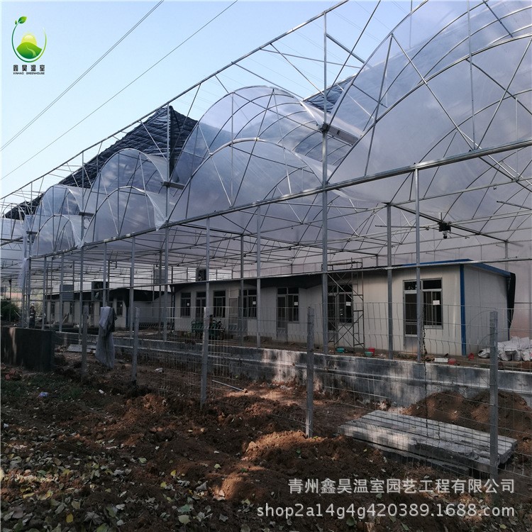 河南溫室大棚廠(chǎng)家 抗風(fēng)防雪保溫大棚 陽(yáng)光板種植大棚 大棚骨架