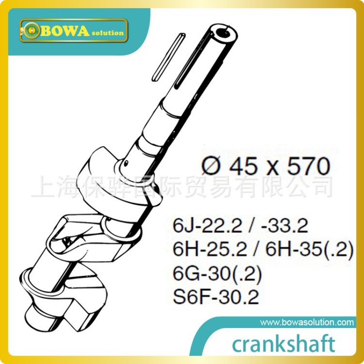 比澤爾6H25.2和6H35.2及6G30.2壓縮機(jī)維修組件-大6缸曲軸