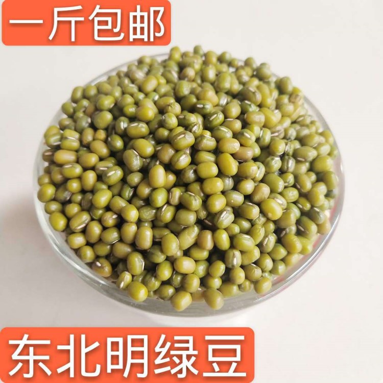 農(nóng)家自種東北明綠豆五谷雜糧500g小綠豆綠豆湯發(fā)豆芽批發(fā)綠豆一斤