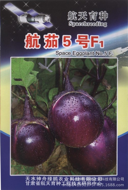 航天育種 太空種子 茄子種子 紫紅圓茄 航茄5號 肉質(zhì)耐老化