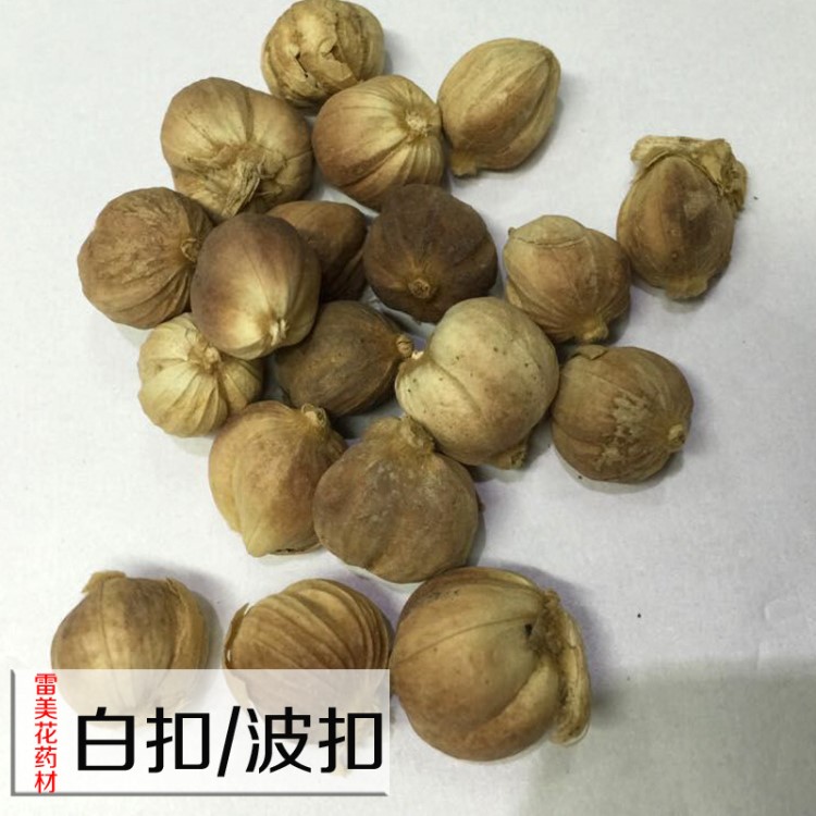 批發(fā)香料白豆蔻 肉扣 波扣 白扣 鹵水香料 白豆蔻 中藥材白