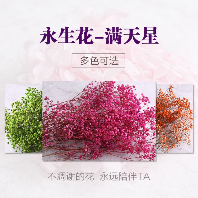 永生花干花花材批發(fā)diy廠家仿真玫瑰花滿天星直銷保鮮花