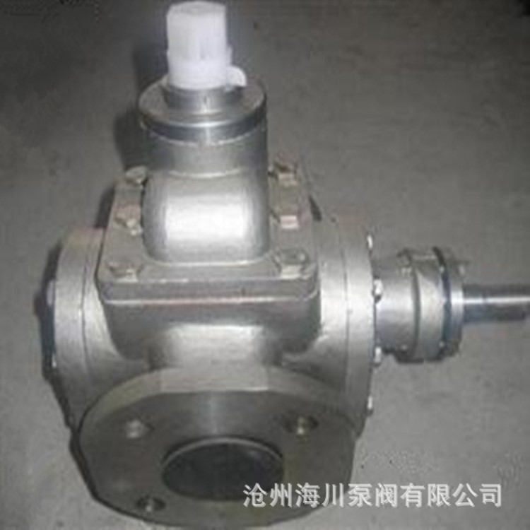 牛奶蜂蜜等食品輸送衛生YCB1.6/0.6B型不銹鋼圓弧齒輪泵