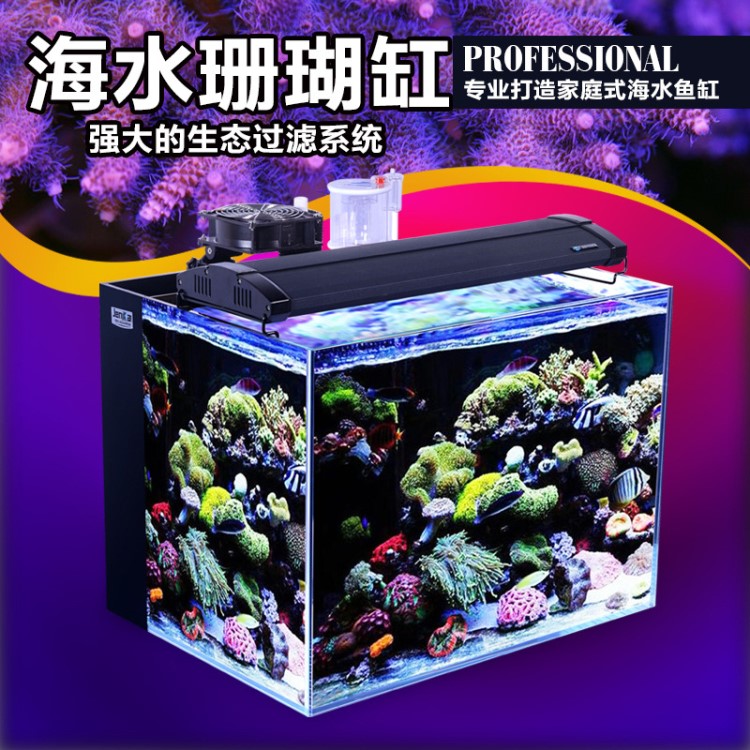 超白缸玻璃海水缸背濾中小型魚缸水族箱熱帶小丑魚珊瑚套缸SPSLPS