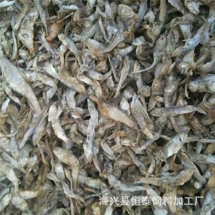 供應(yīng)小魚干 飼料級新鮮魚干 動物飼料家禽飼料質(zhì)優(yōu)價廉