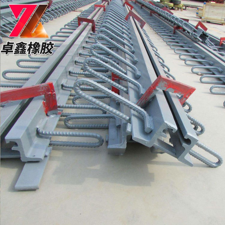廠家直銷tst橋梁伸縮縫 模數式橋梁伸縮縫 公路鐵路用裝置