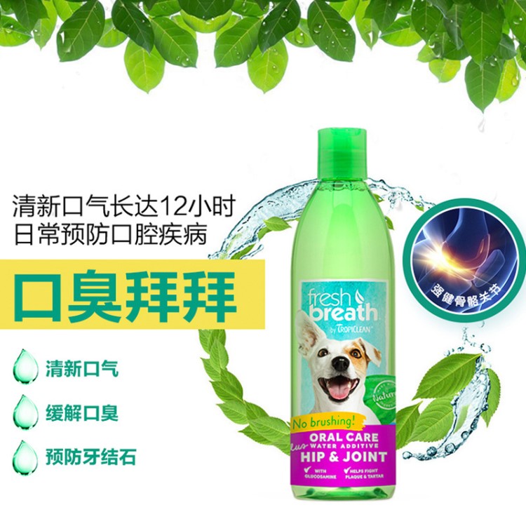 吉姆貝貝狗狗潔齒水 寵物貓狗健康腸道亮澤毛發 營養品保健品