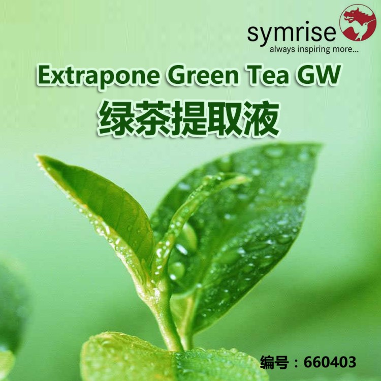 德国绿茶提取液 Extrapone Green Tea GW 绿茶浓缩液1kg