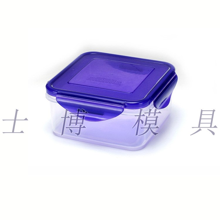 供應(yīng)長(zhǎng)方形食品包裝盒模具 PP塑料盒模具 塑料產(chǎn)品模具定制 新款