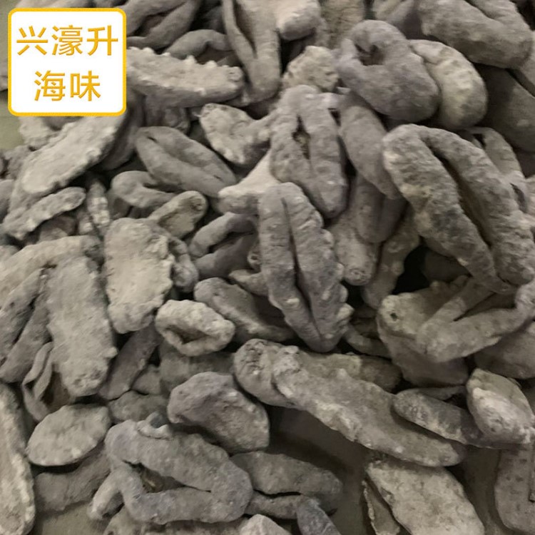 產(chǎn)地貨源 黑豬婆 批發(fā)價格 高蛋白營養(yǎng)品 野生燉品一德路海參干貨