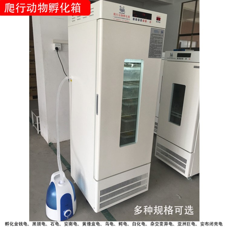 珠江牌 FHX-400 控溫控濕爬行動物孵化箱 400升龜鱉烏龜孵化箱