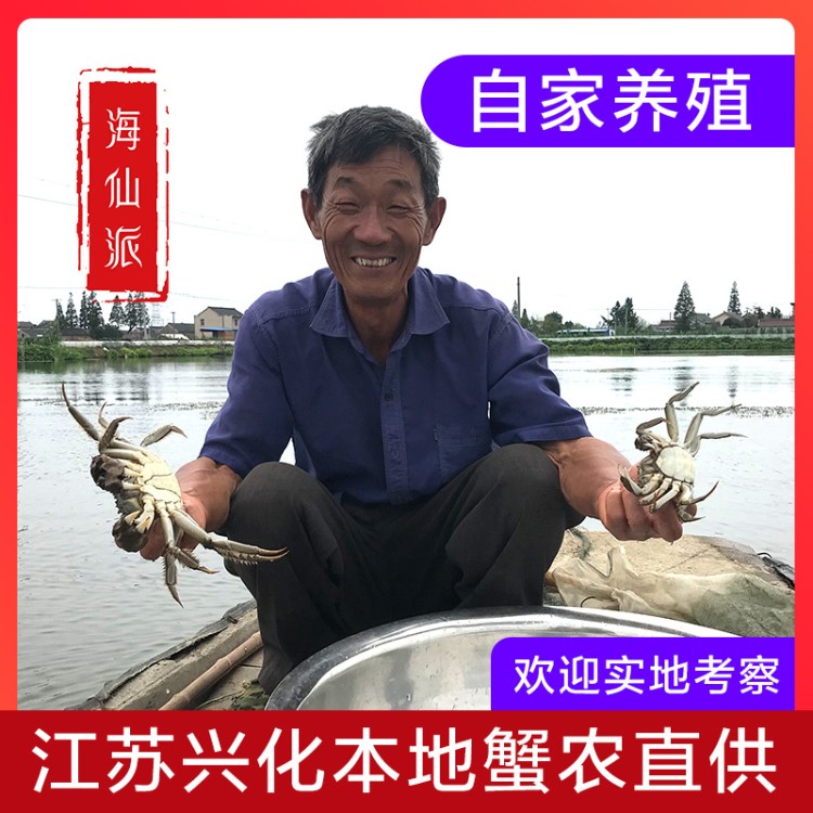 興化大閘蟹現貨紅膏超大螃蟹鮮活批發養殖產地直供中秋送禮