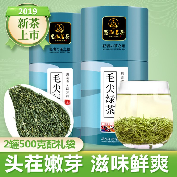 明前茶 毛尖绿茶 礼品茶 信阳毛尖绿茶2019新茶 明前茶500g