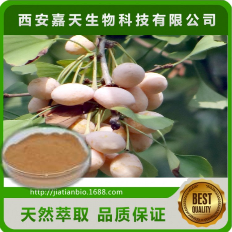 白果仁提取物 銀杏果提取物 水溶性白果粉