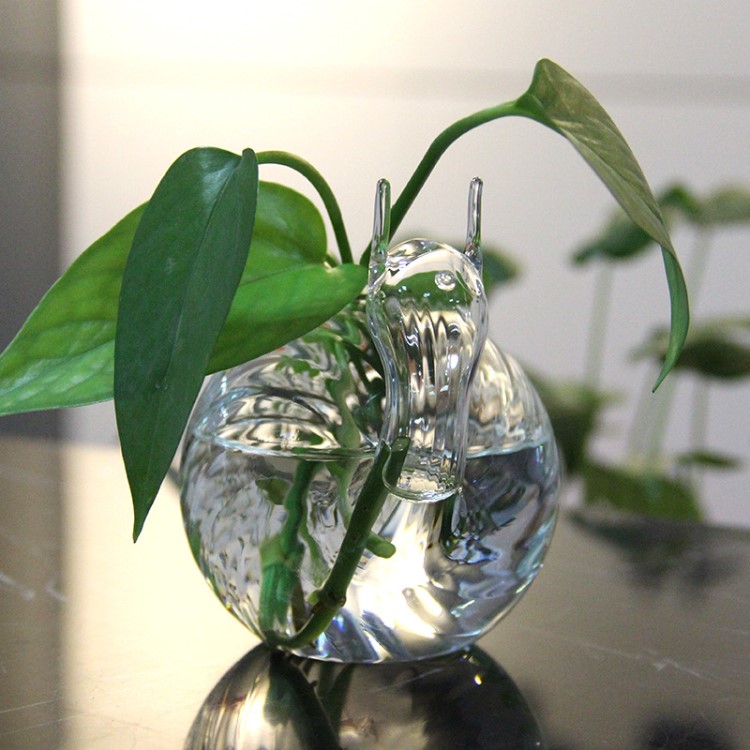 直銷蝸牛水培器皿 創(chuàng)意玻璃養(yǎng)花器 水培花瓶擺件  客廳臥式裝飾品