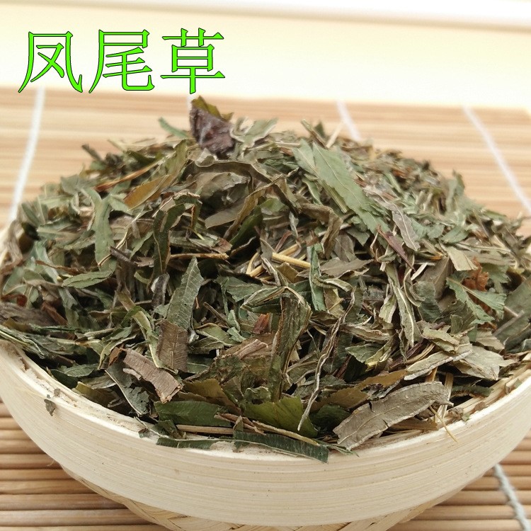 產(chǎn)地貨源鳳尾草 金雞腳批發(fā)